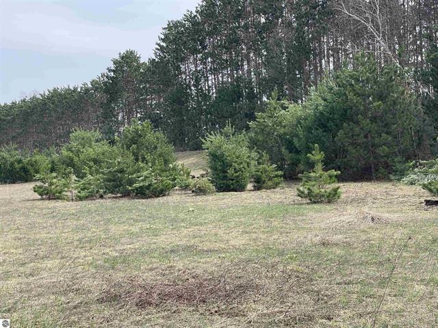 00 Mackinaw Trail Property Photo 23