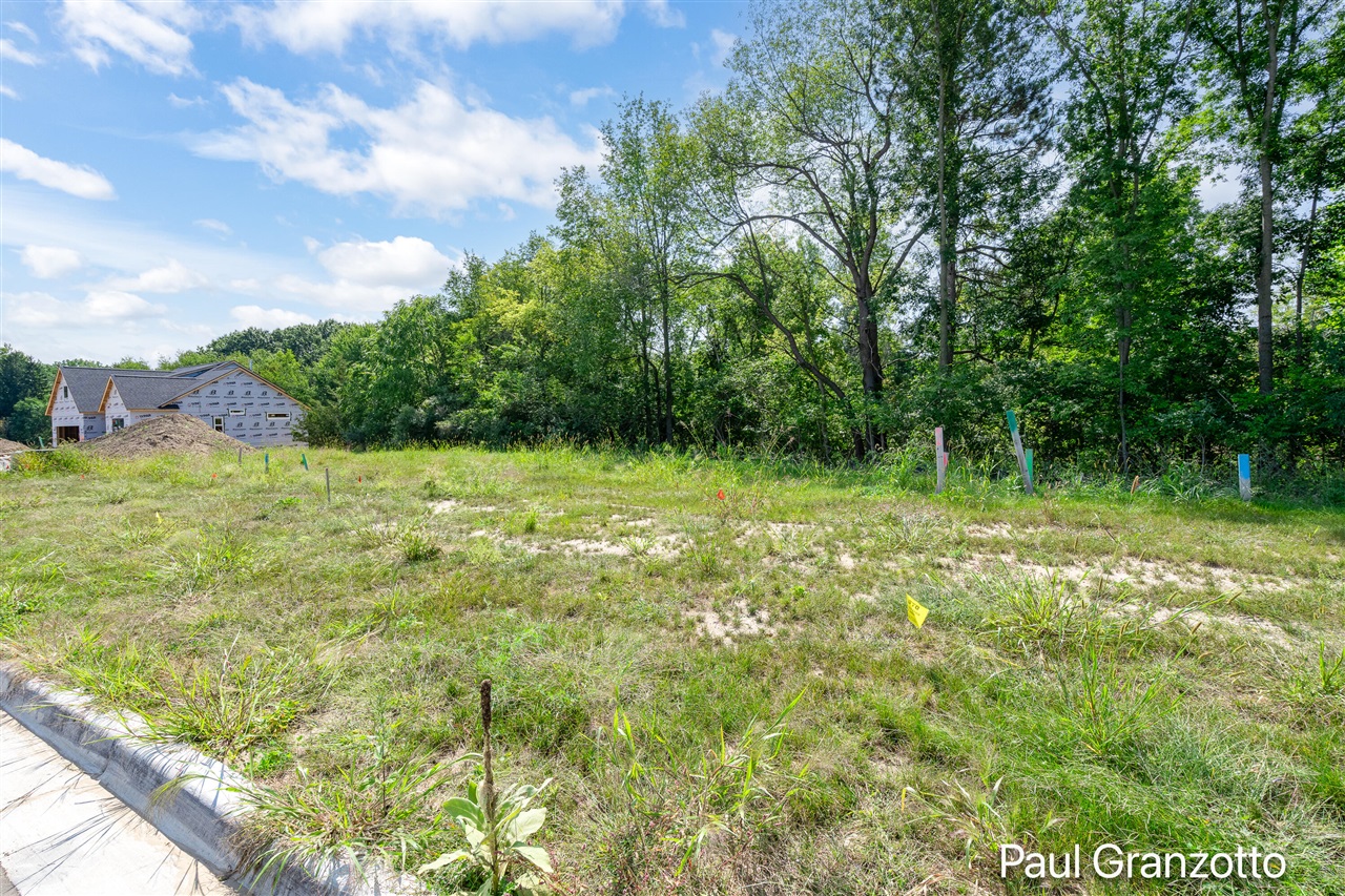 3060 Arbor Creek Avenue Property Photo 1
