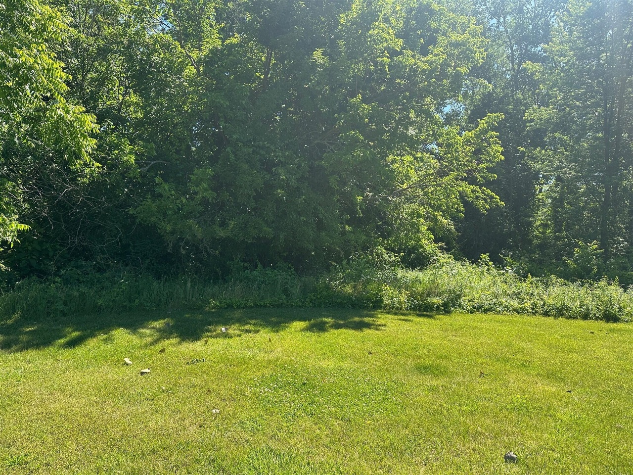 109 Diamond Point Lane Property Photo 1