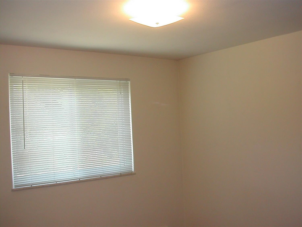 253 Brookridge Court Property Photo 2