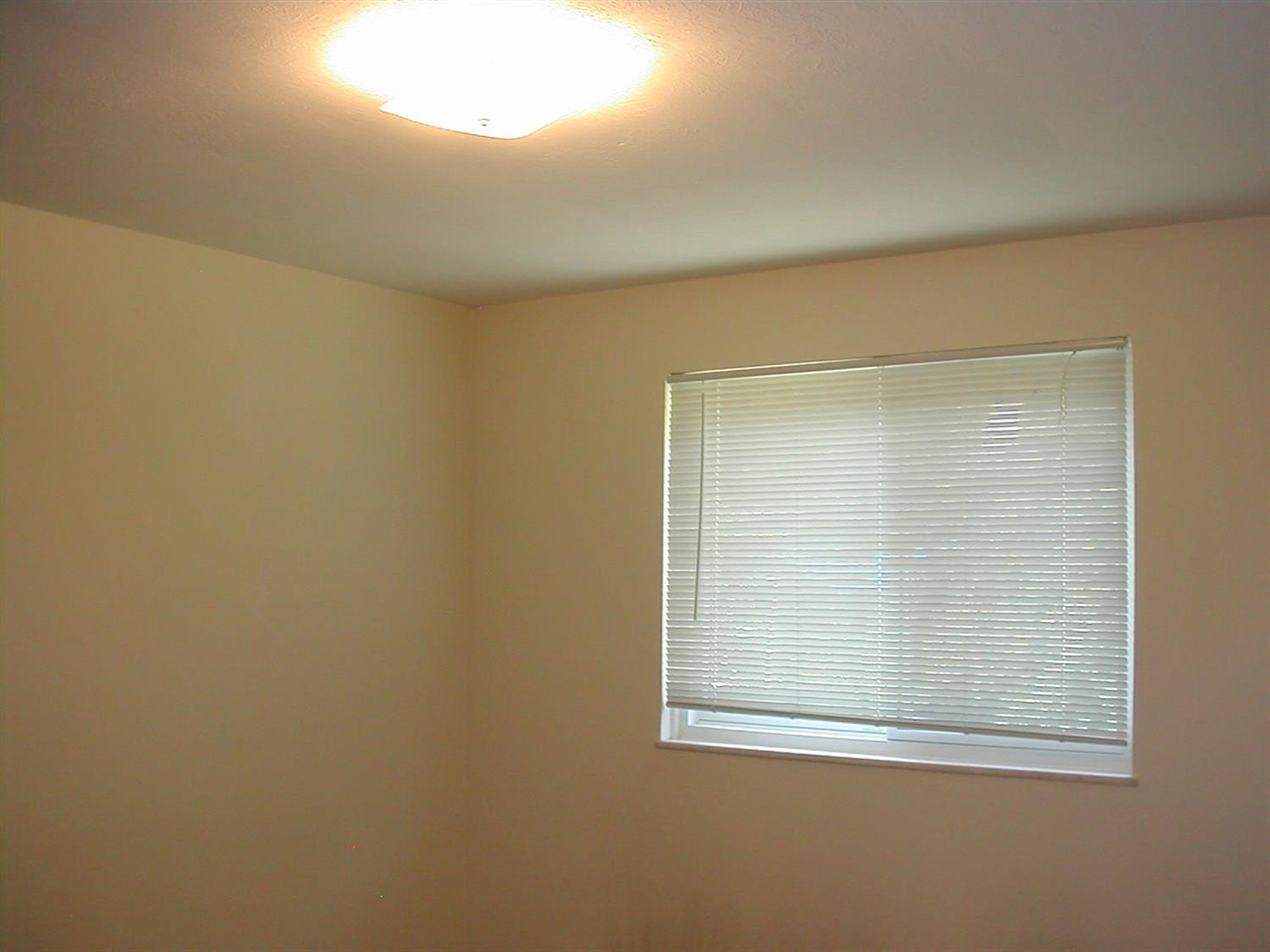 253 Brookridge Court Property Photo 11