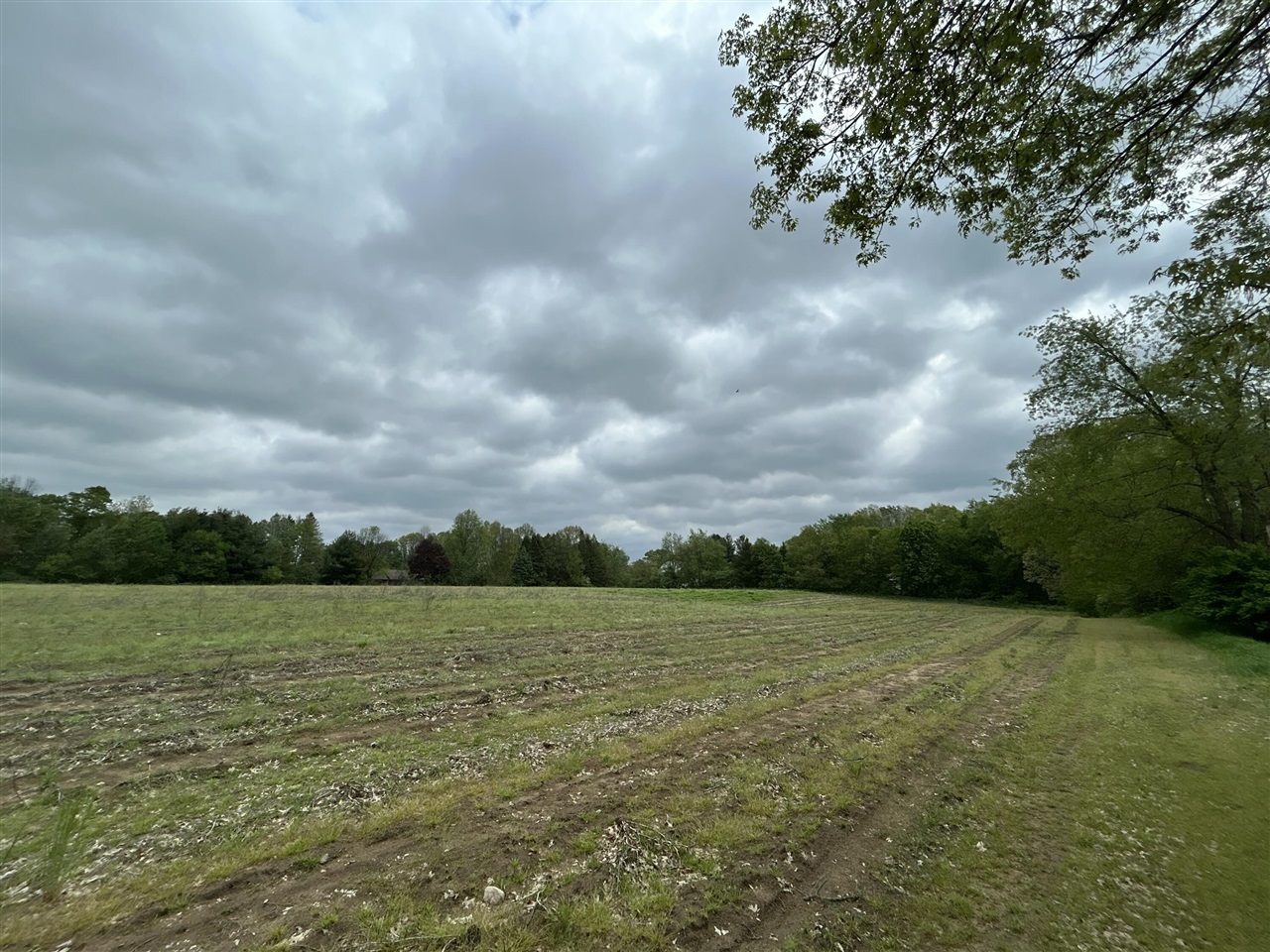 V/l House Street Property Photo 1