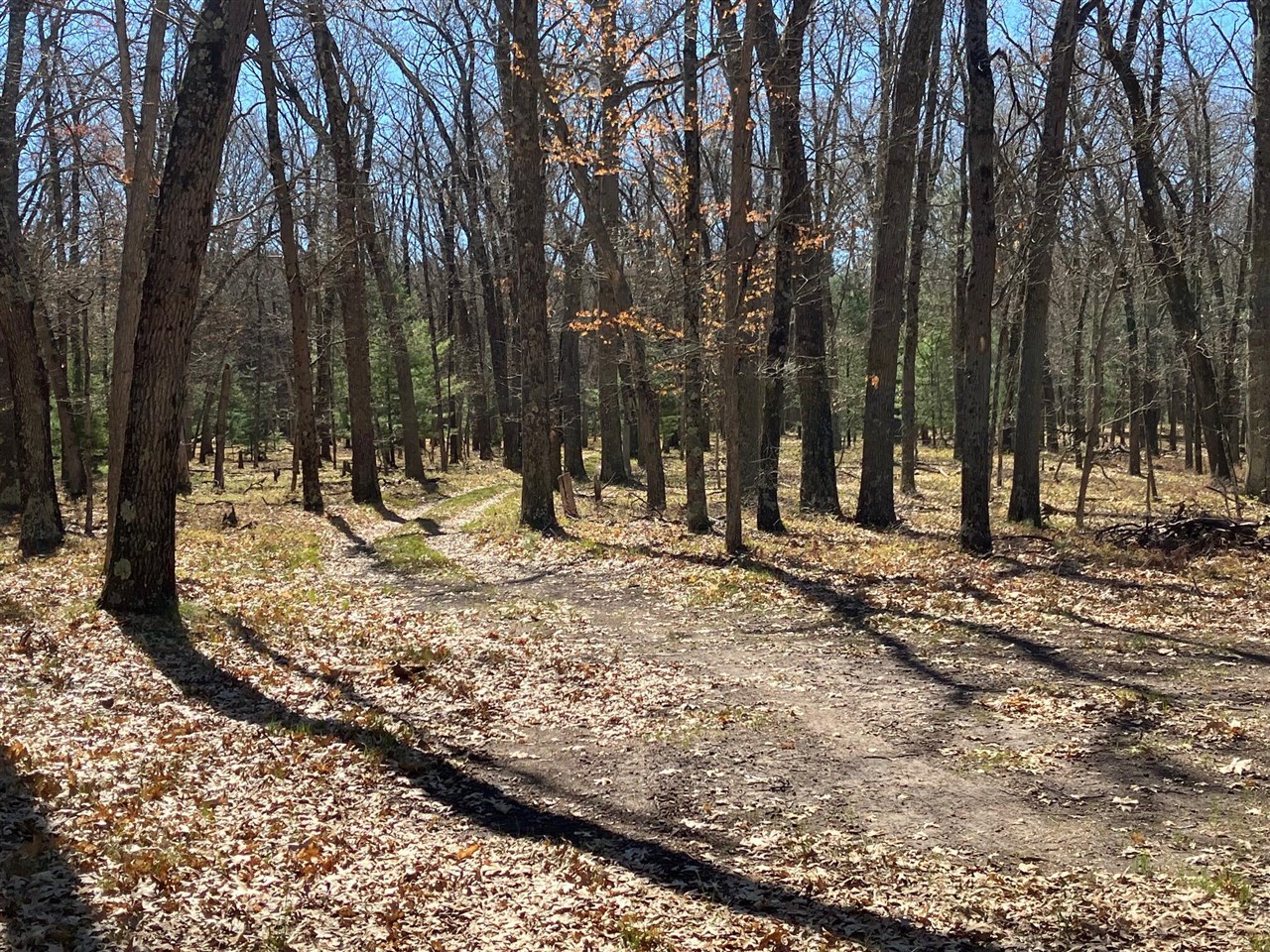 11373 S Rabbit Road Property Photo 15