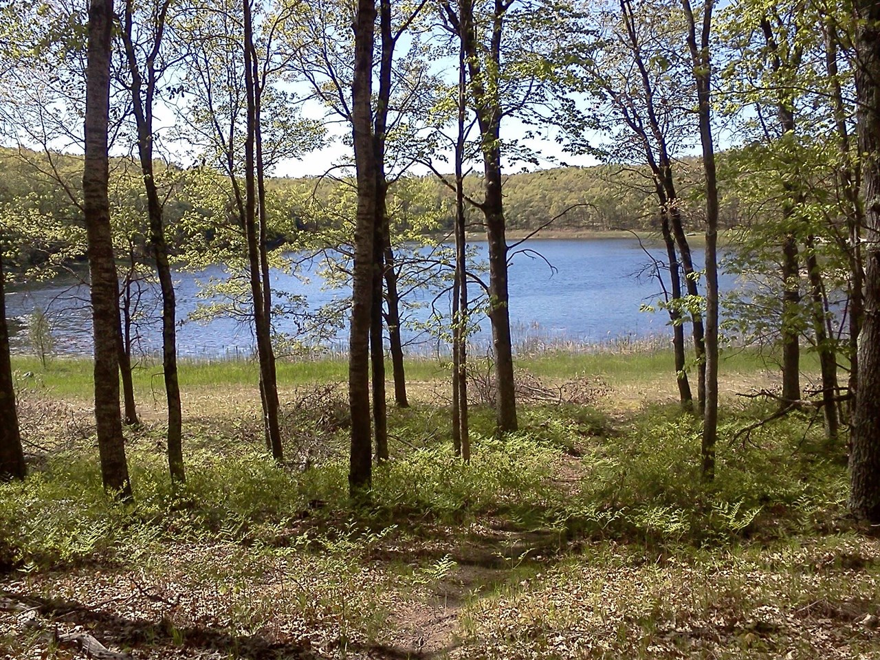 11373 S Rabbit Road Property Photo 17