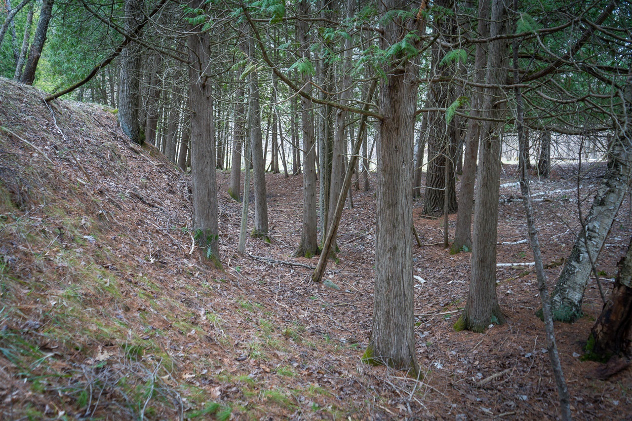 9184 M-37 Property Photo 15