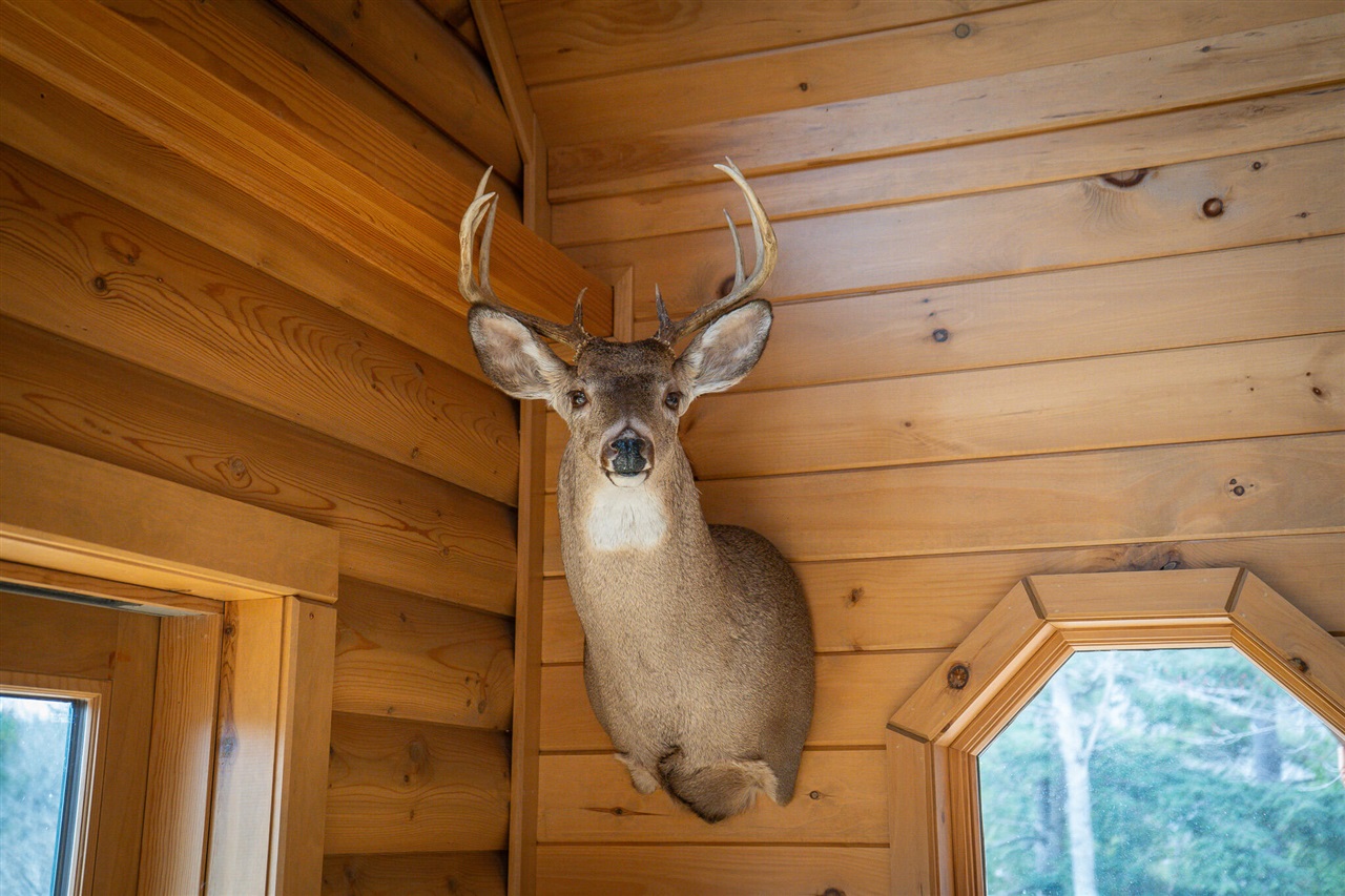 9184 M-37 Property Photo 45