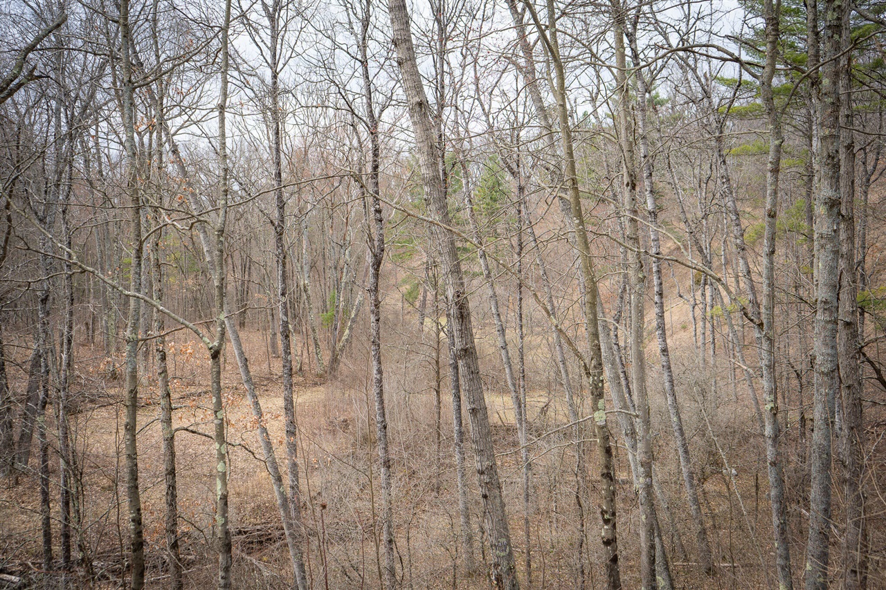 9184 M-37 Property Photo 50