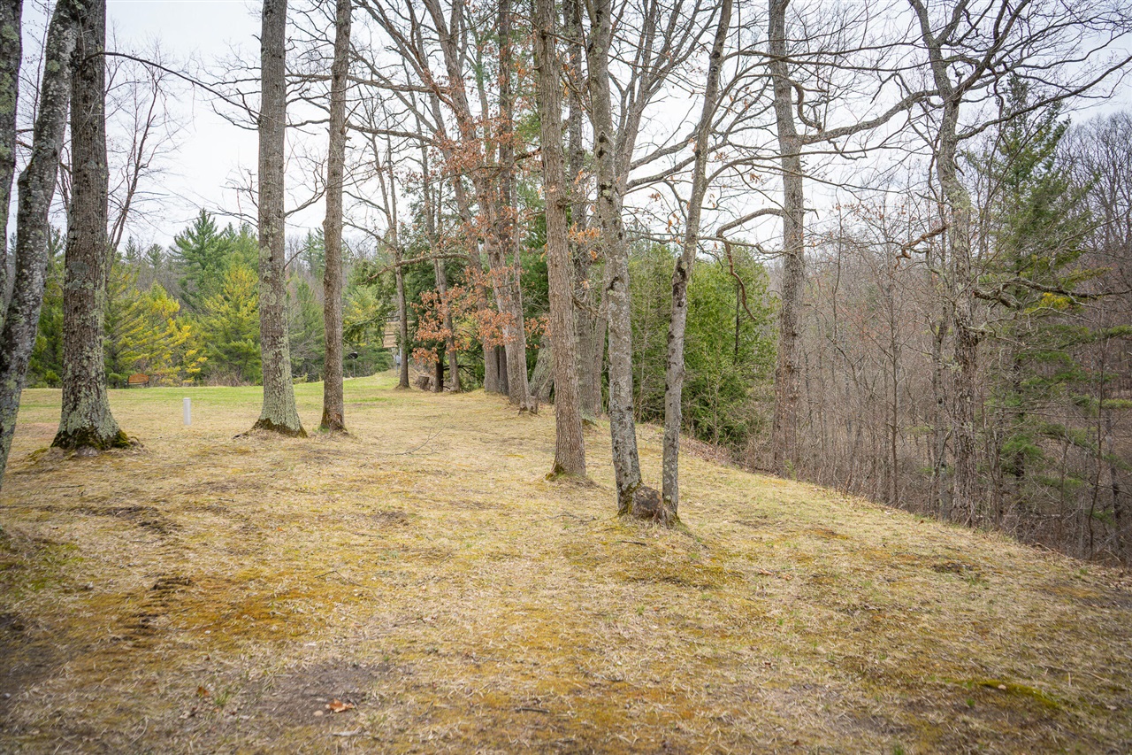 9184 M-37 Property Photo 51