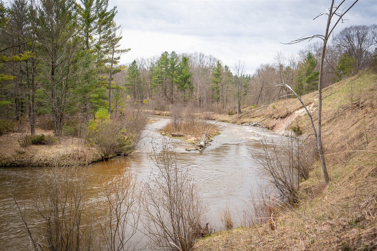 9184 M-37 Property Photo 54