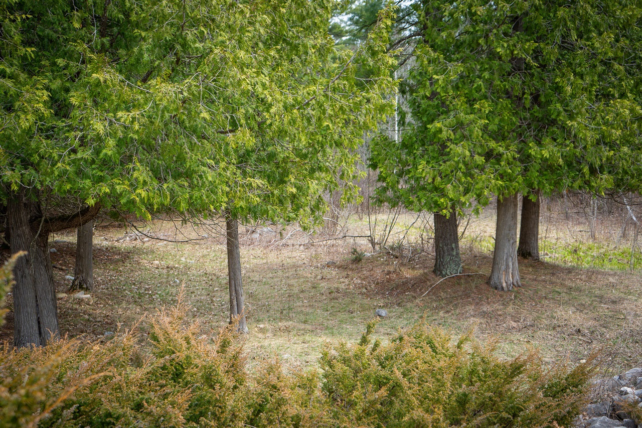 9184 M-37 Property Photo 56
