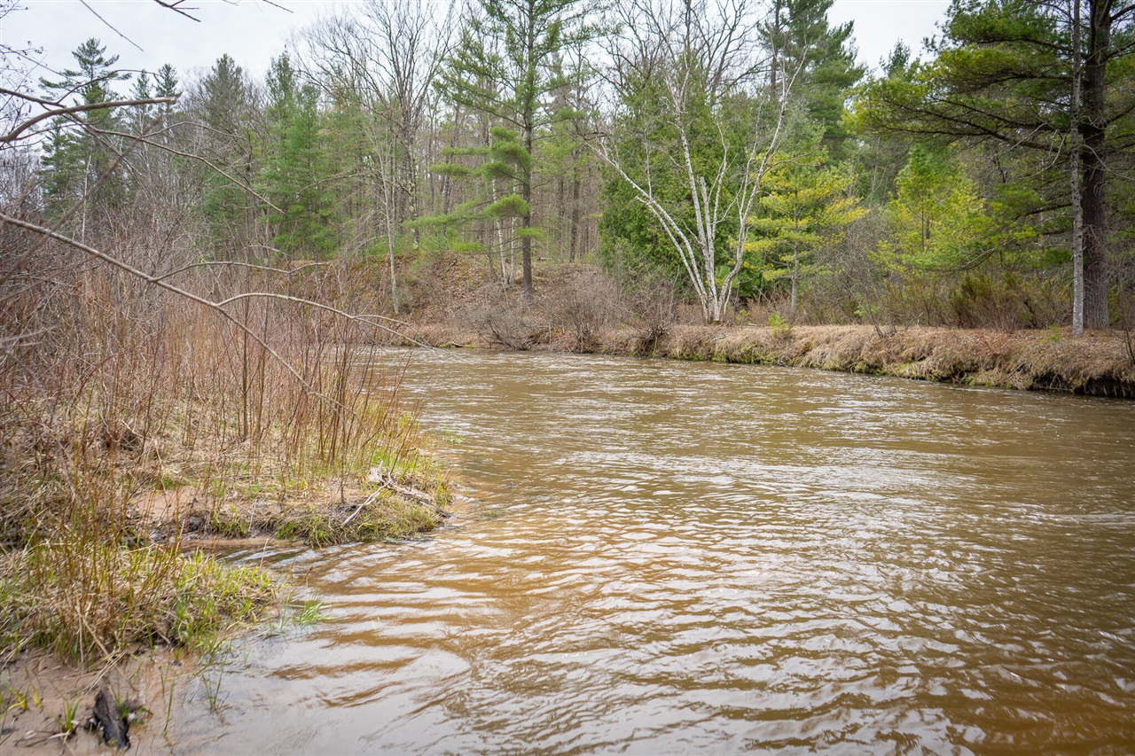 9184 M-37 Property Photo 58