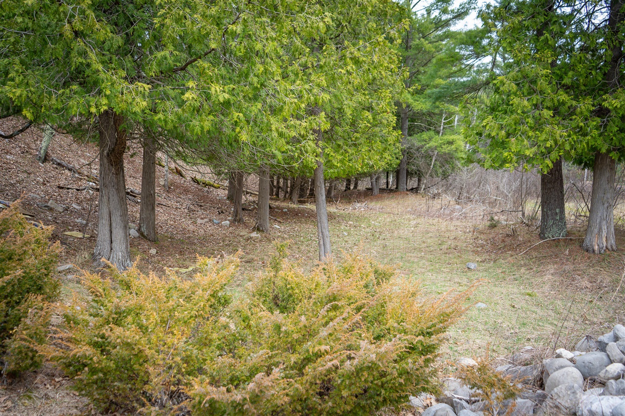 9184 M-37 Property Photo 59
