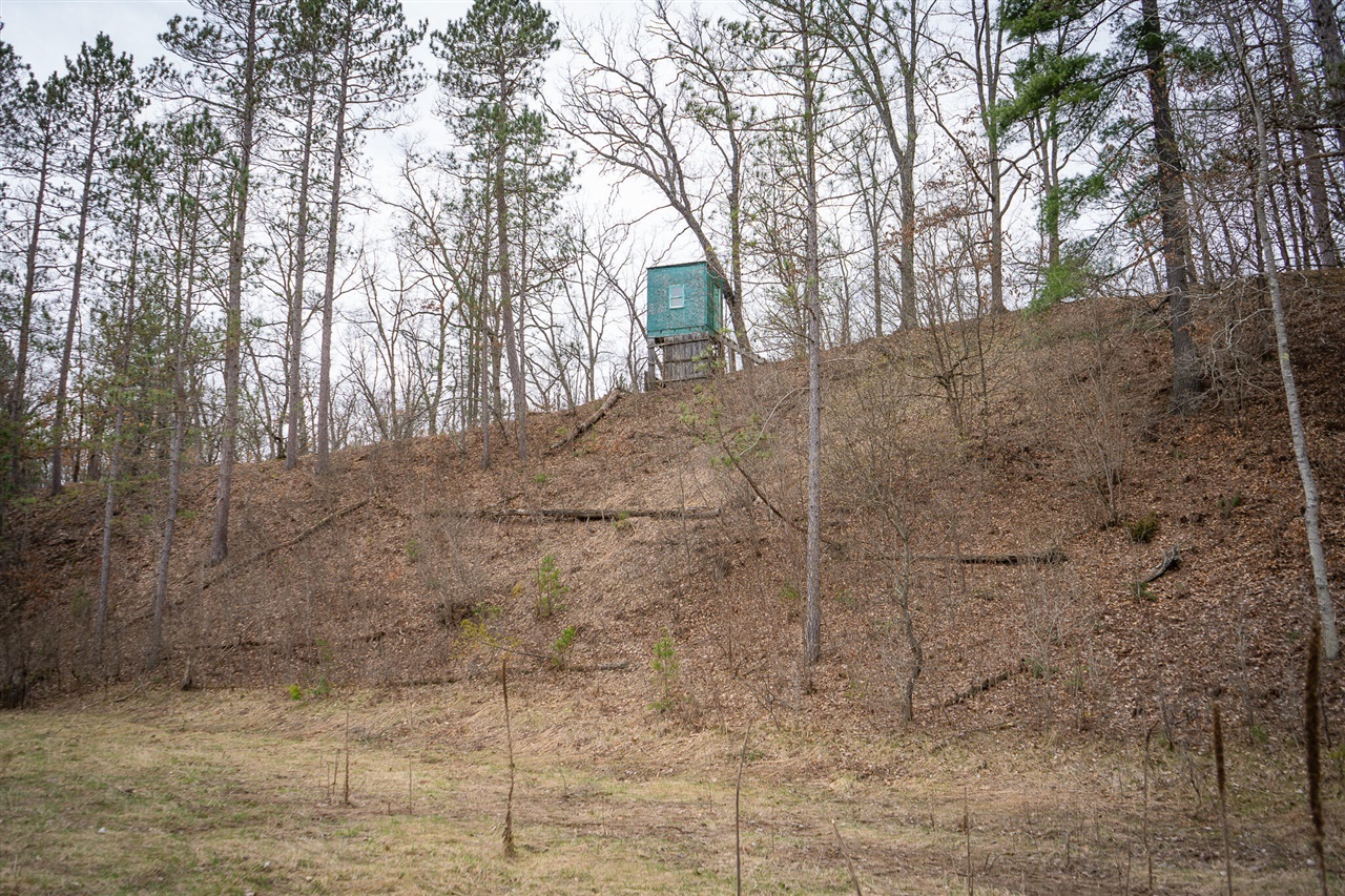 9184 M-37 Property Photo 61