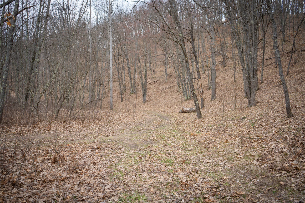 9184 M-37 Property Photo 62