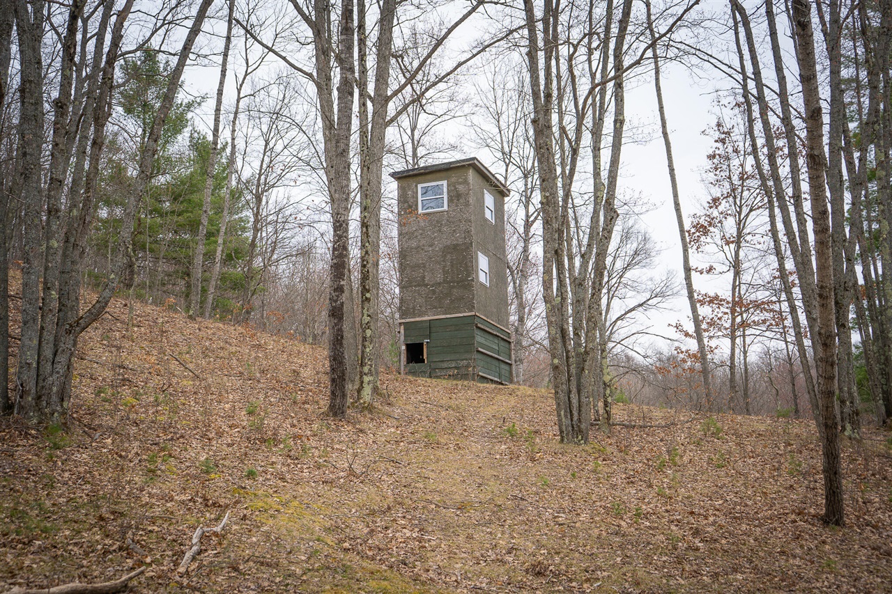 9184 M-37 Property Photo 63