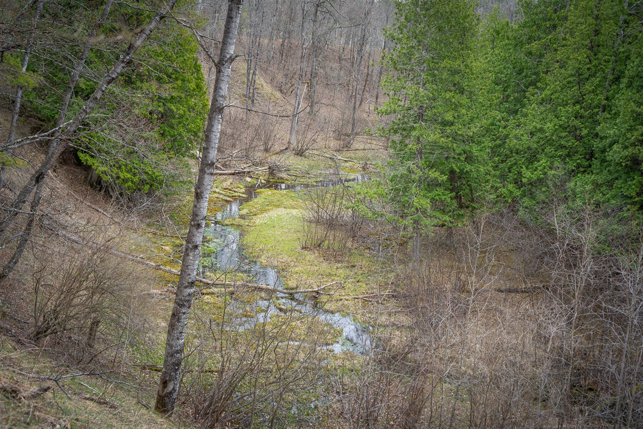 9184 M-37 Property Photo 64