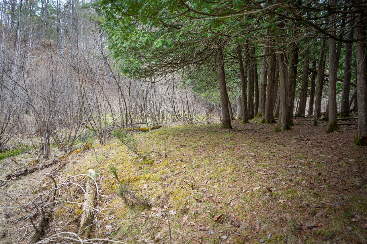 9184 M-37 Property Photo 65