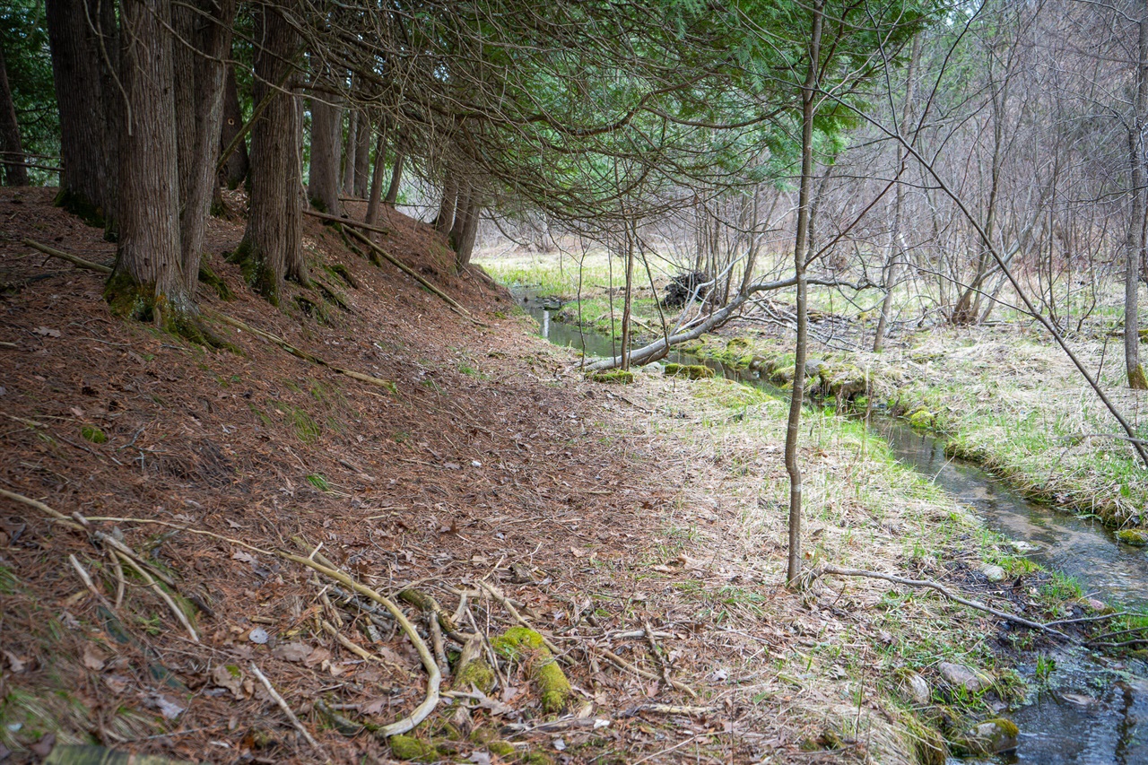 9184 M-37 Property Photo 66