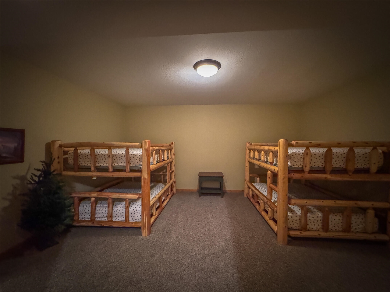 9184 M-37 Property Photo 83