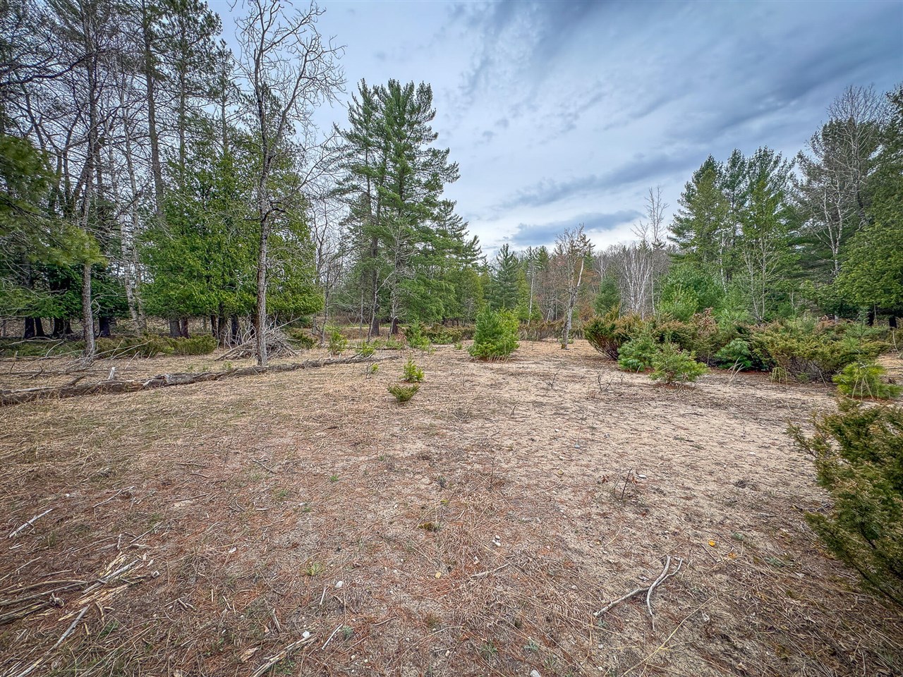 9184 M-37 Property Photo 86