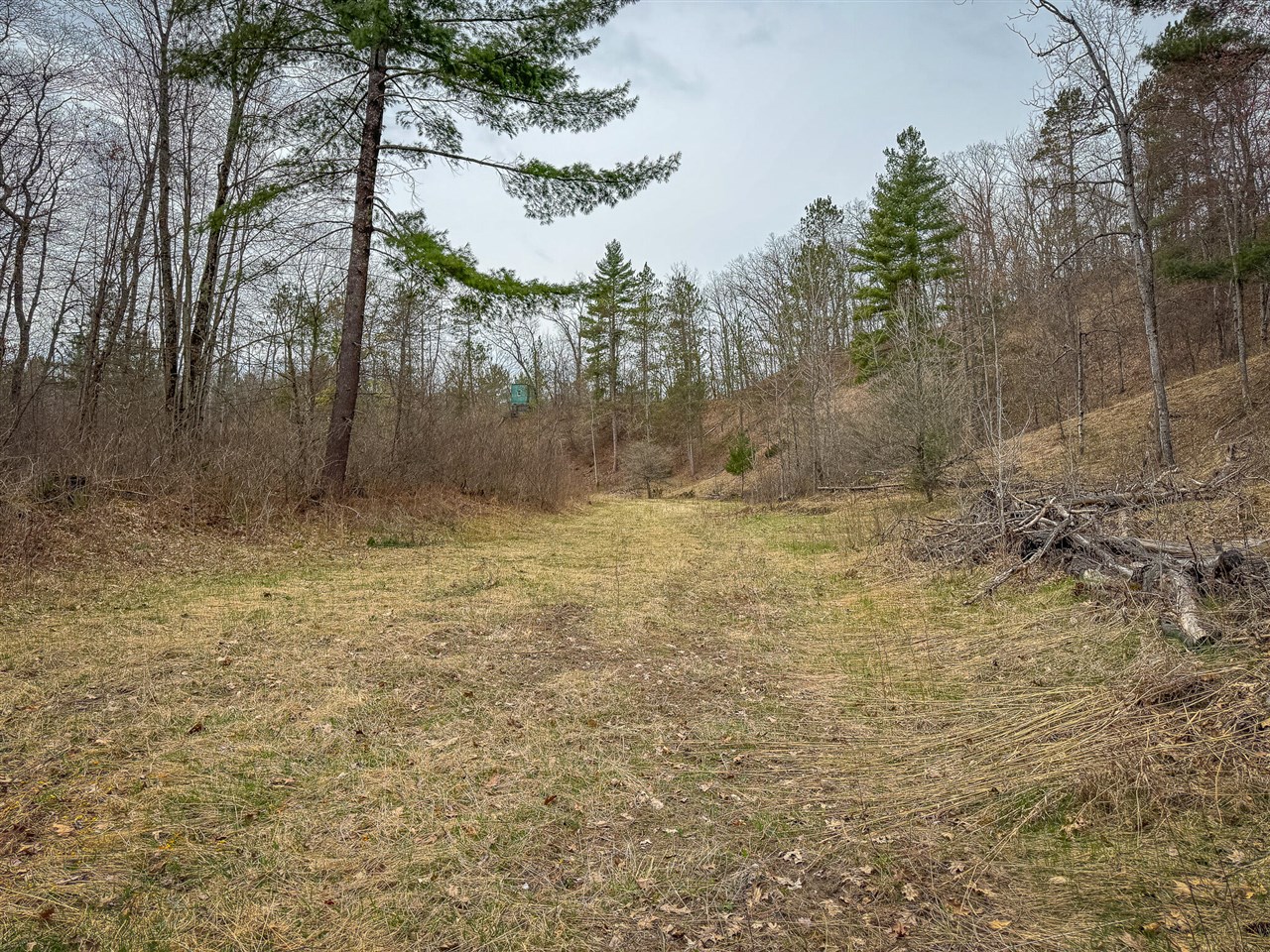 9184 M-37 Property Photo 88