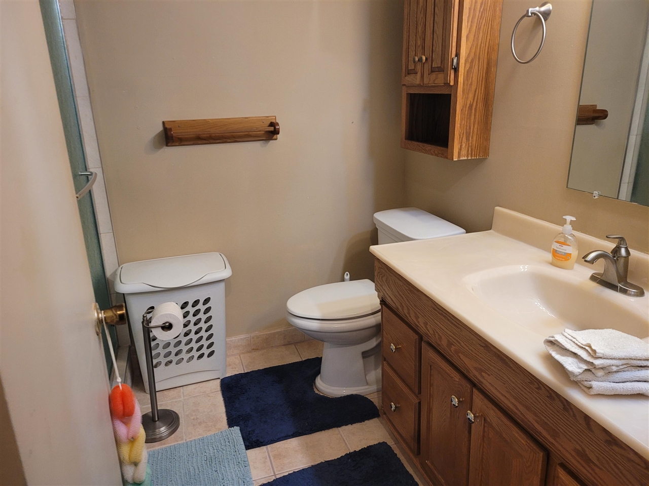 41276 N Woodbury Green Drive Property Photo 12