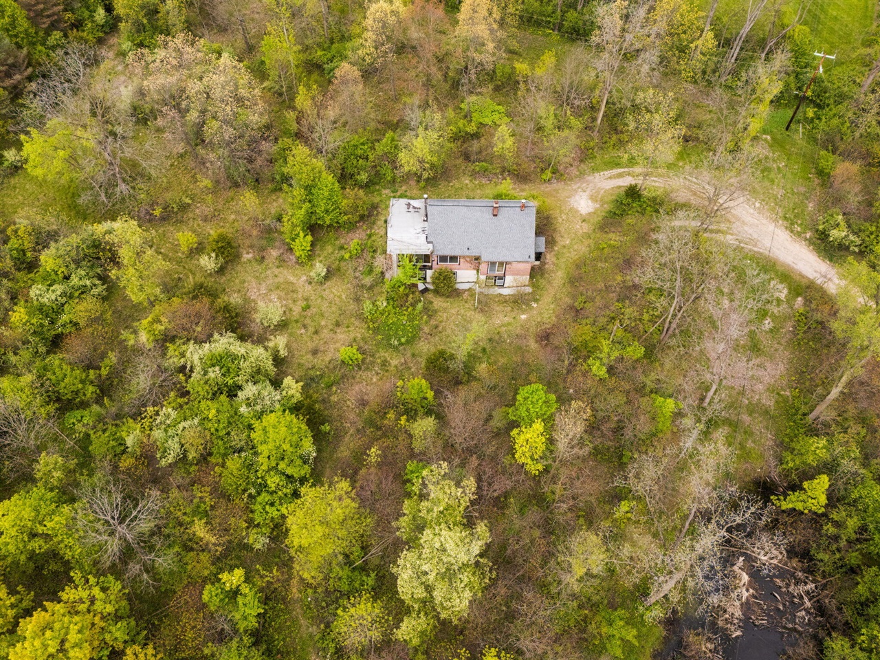 2203 Hickman Road Property Photo 50