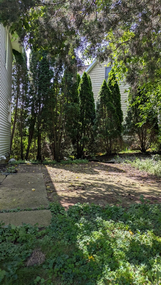 10149 Emerald Drive Property Photo 16