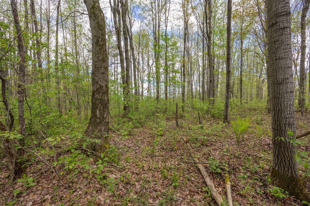 16130 140th Avenue Property Photo 1