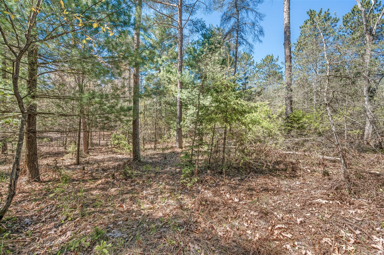 8.5 Acre V/l Three Mile Road Property Photo 1