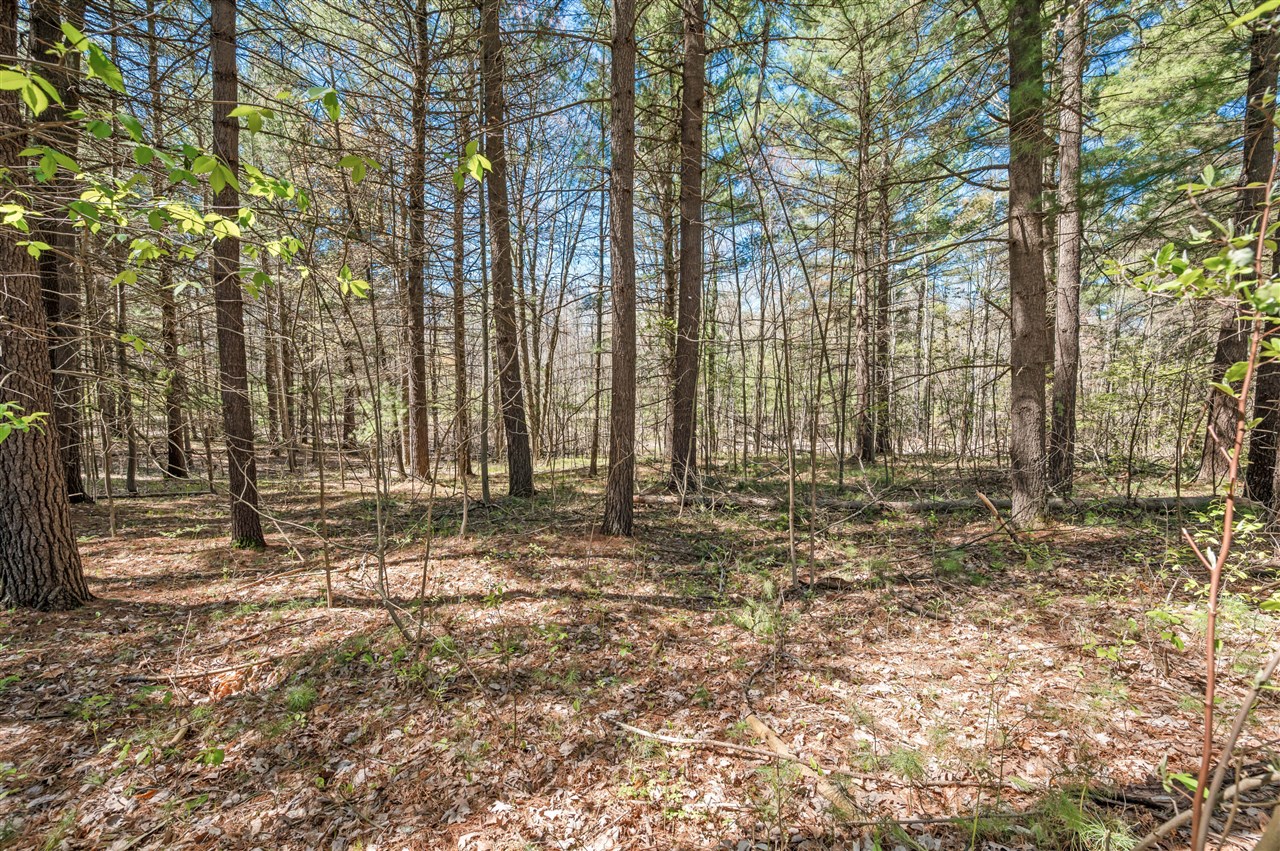 8.5 Acre V/l Three Mile Road Property Photo 5