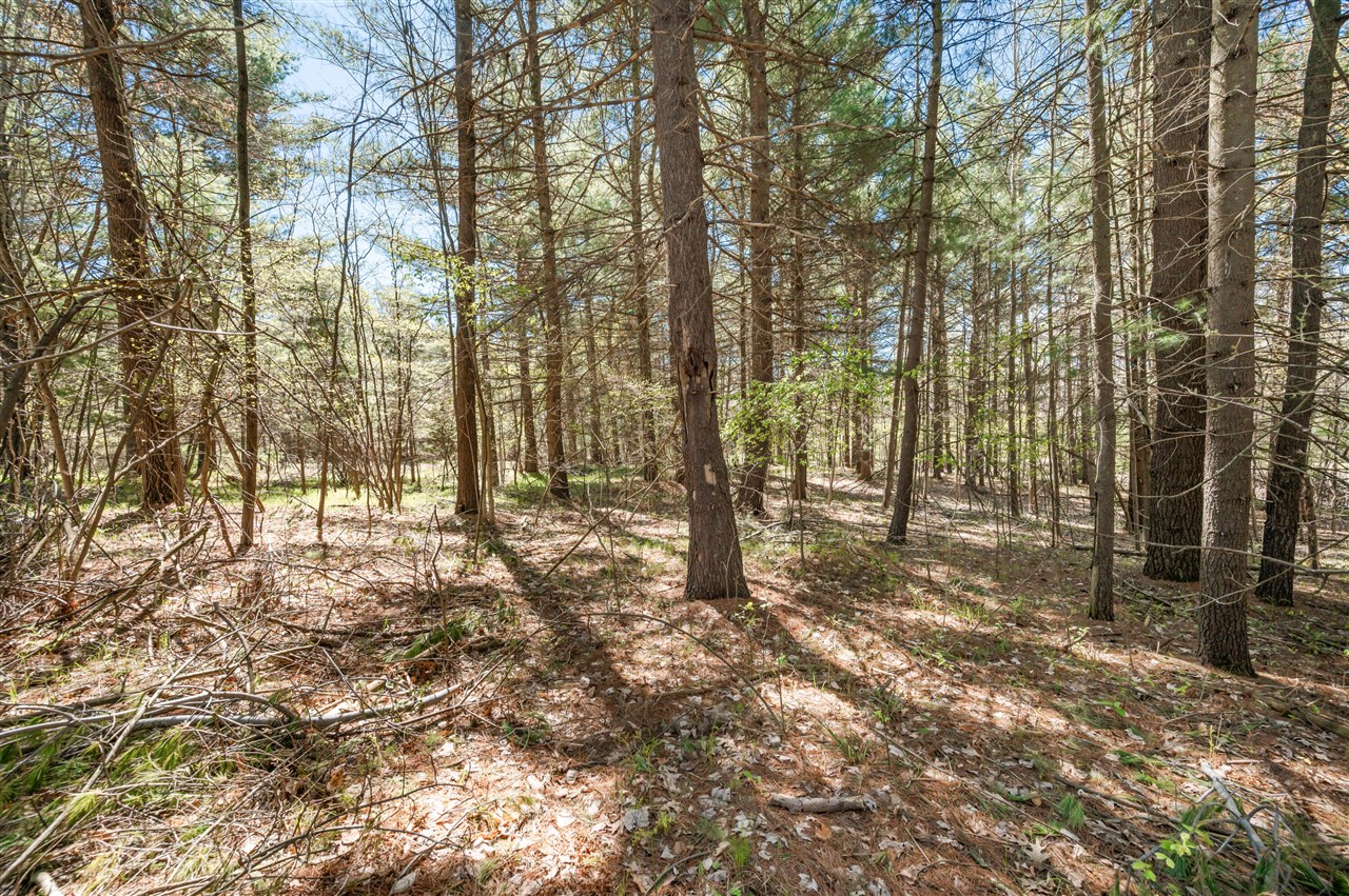 8.5 Acre V/l Three Mile Road Property Photo 6