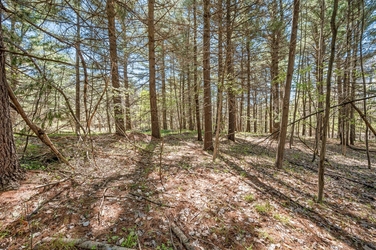 8.5 Acre V/l Three Mile Road Property Photo 7