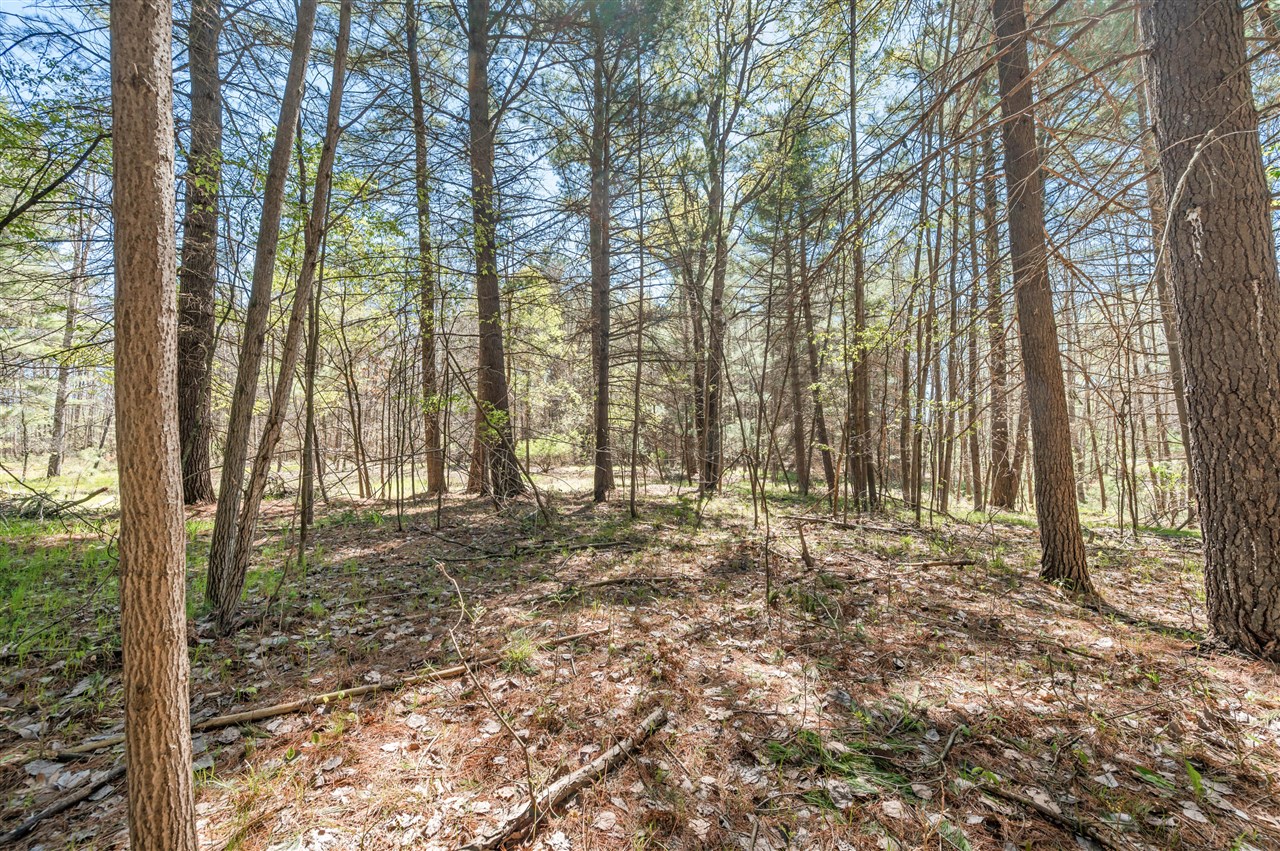 8.5 Acre V/l Three Mile Road Property Photo 8
