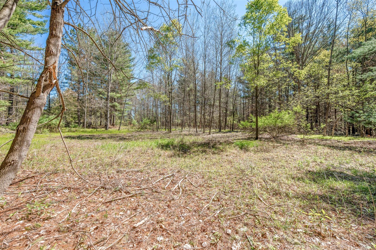 8.5 Acre V/l Three Mile Road Property Photo 9