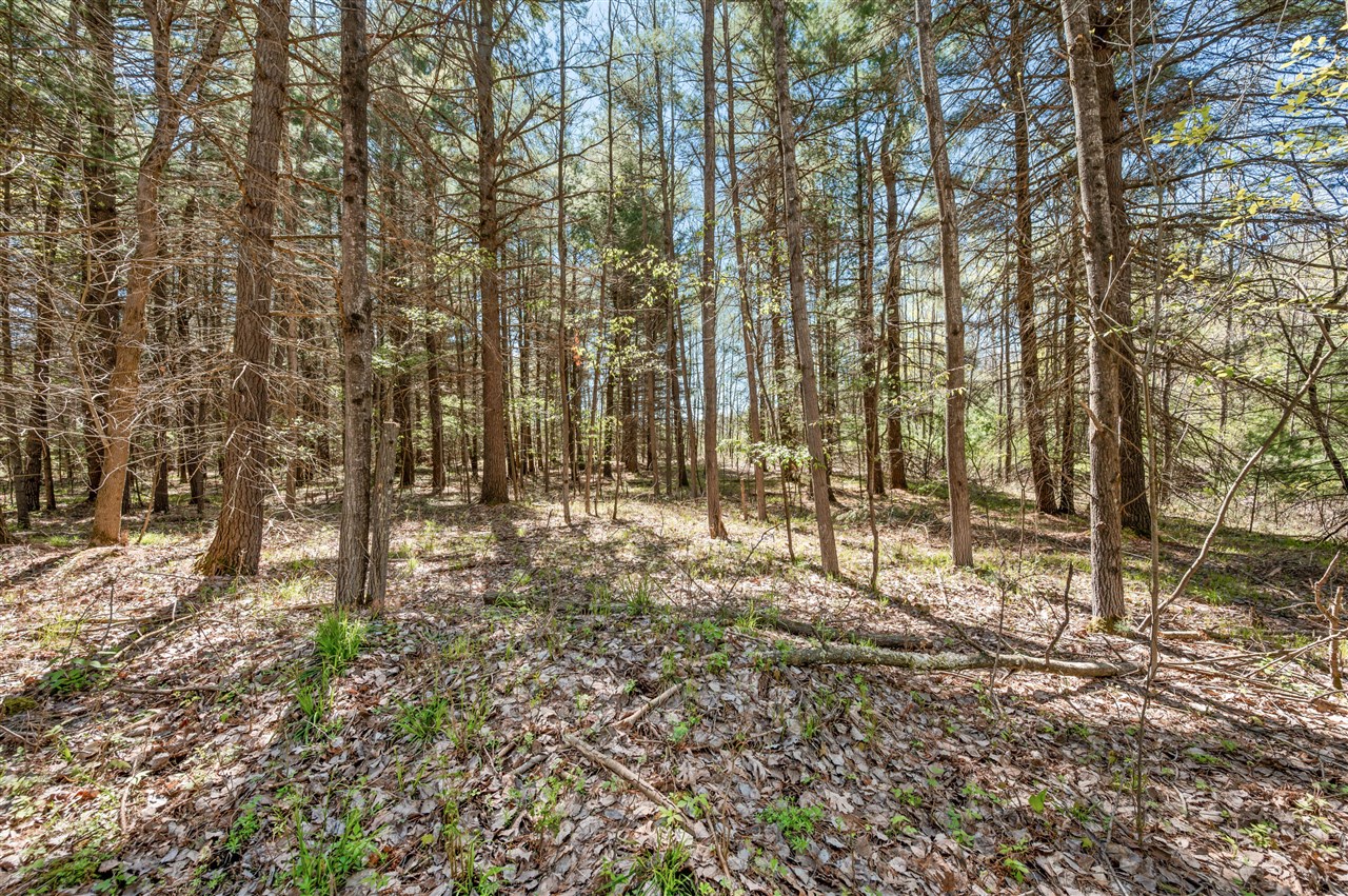 8.5 Acre V/l Three Mile Road Property Photo 10