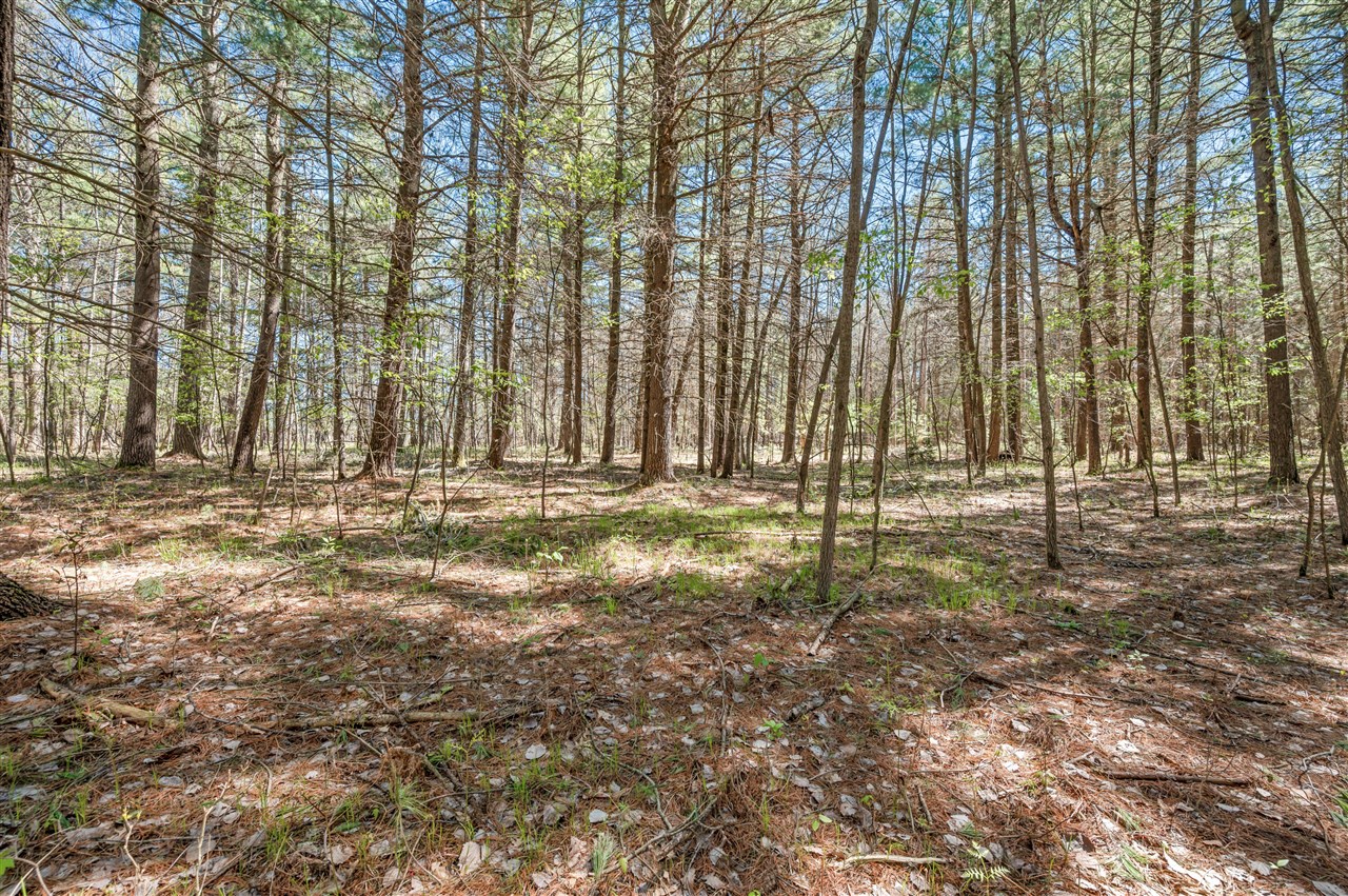 8.5 Acre V/l Three Mile Road Property Photo 11