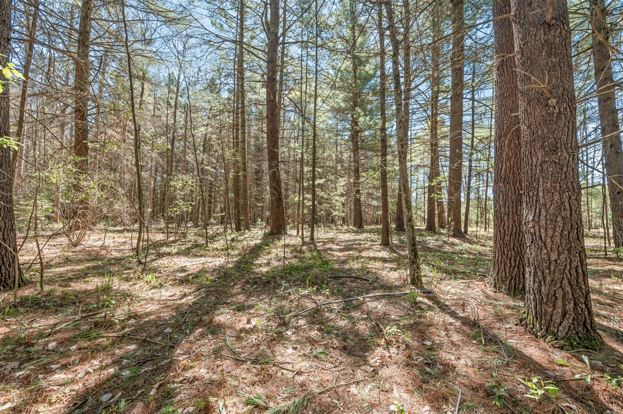 8.5 Acre V/l Three Mile Road Property Photo 12