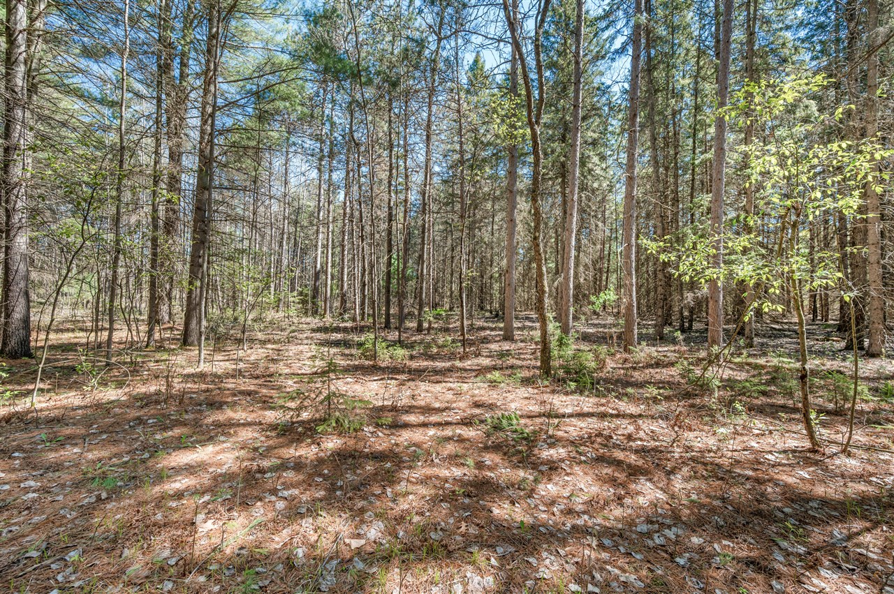 8.5 Acre V/l Three Mile Road Property Photo 13