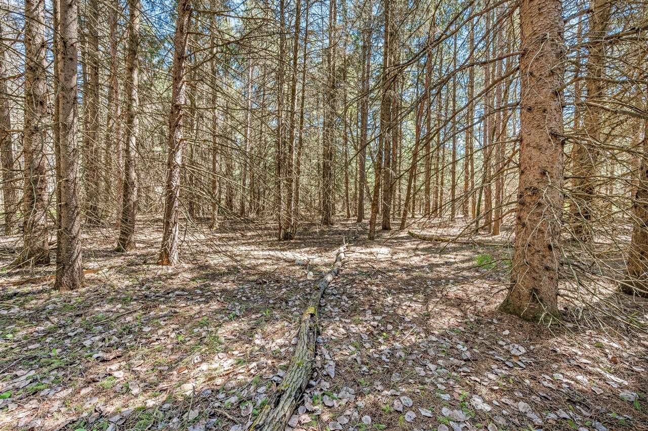 8.5 Acre V/l Three Mile Road Property Photo 14