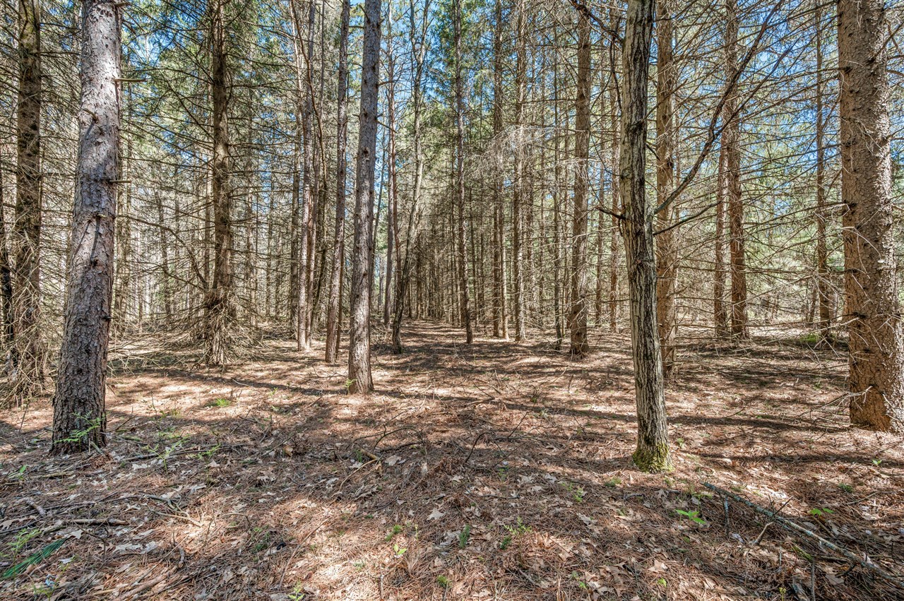 8.5 Acre V/l Three Mile Road Property Photo 15