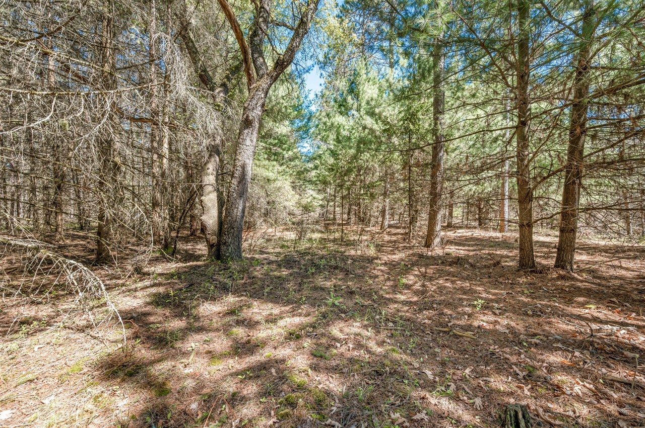 8.5 Acre V/l Three Mile Road Property Photo 16