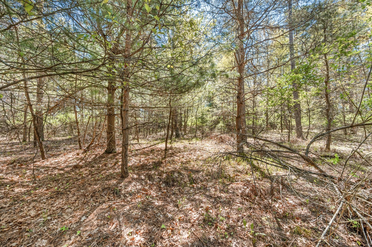 8.5 Acre V/l Three Mile Road Property Photo 17