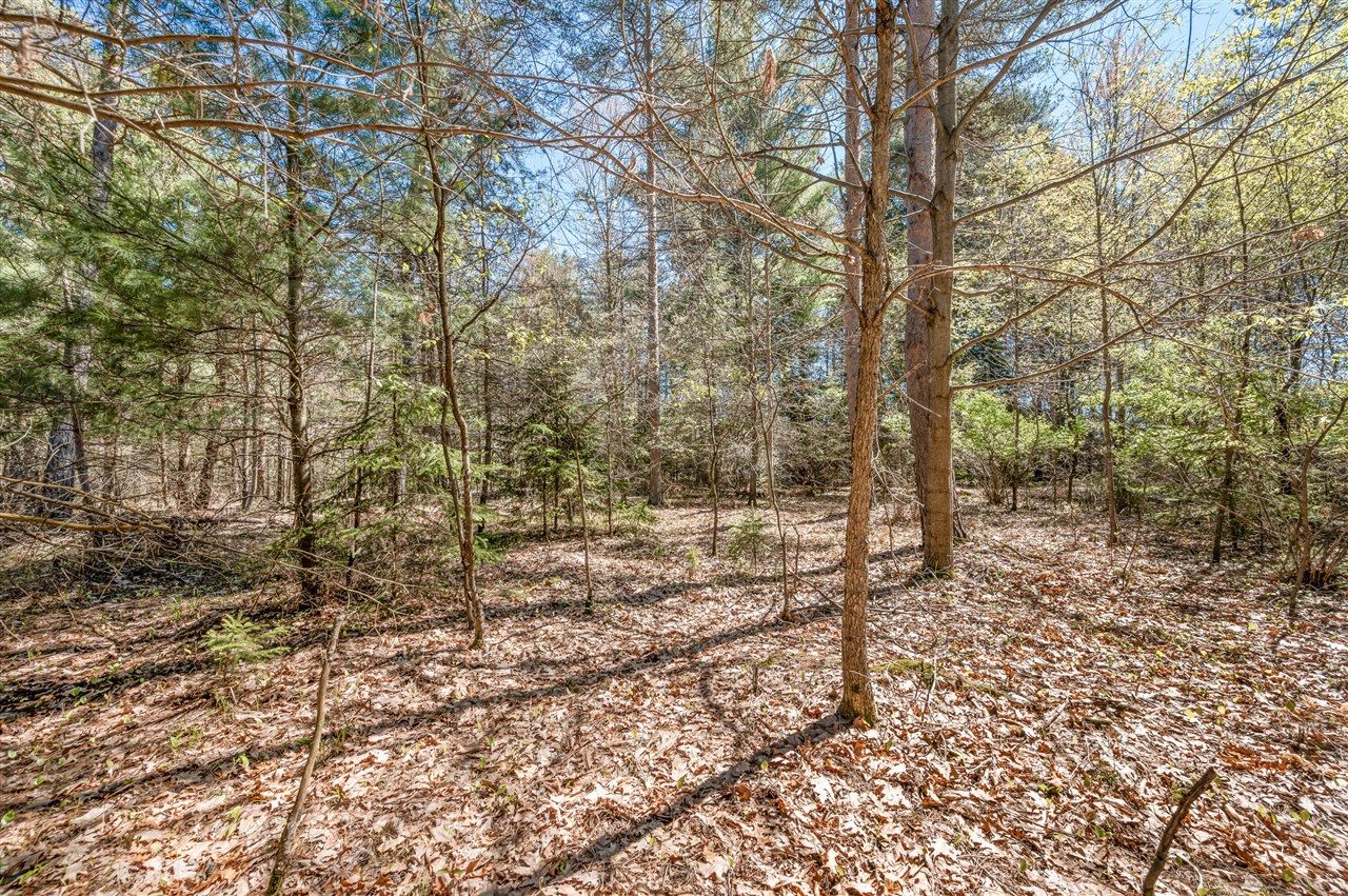 8.5 Acre V/l Three Mile Road Property Photo 18