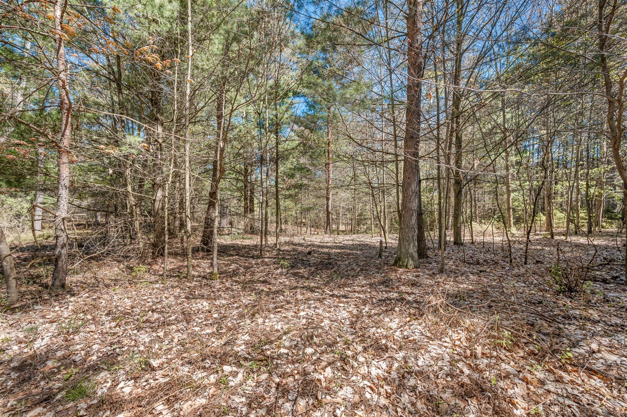 8.5 Acre V/l Three Mile Road Property Photo 19