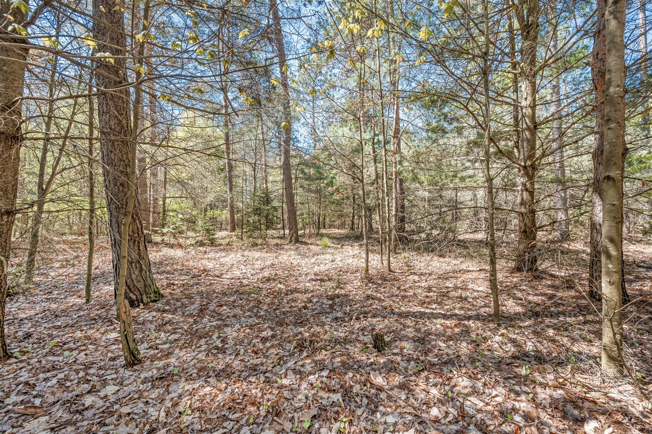 8.5 Acre V/l Three Mile Road Property Photo 20