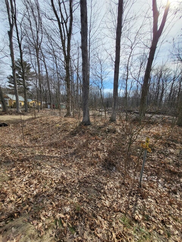 16351 Red Arrow Highway Property Photo 17