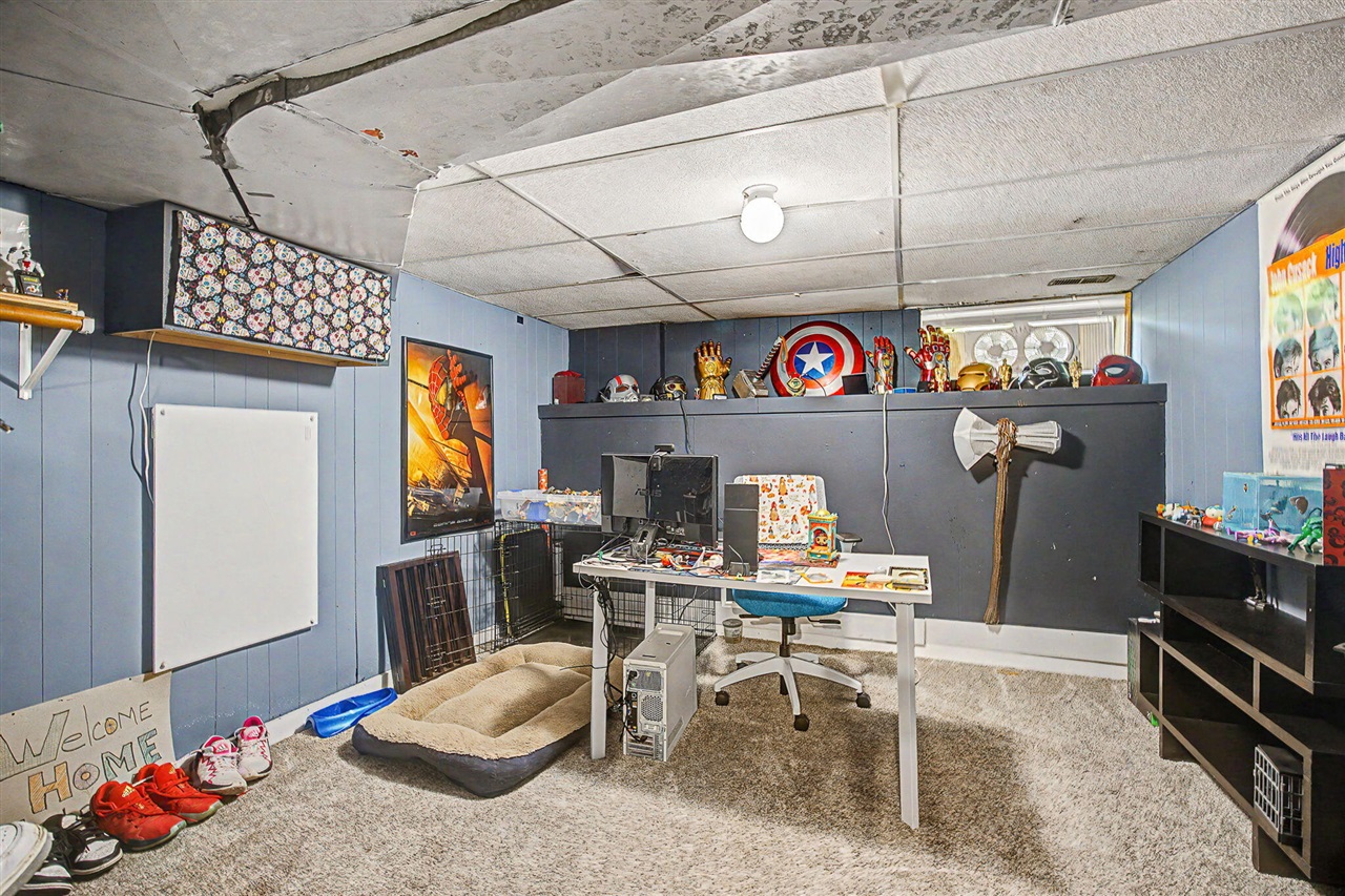 213 Palmer Street Property Photo 45