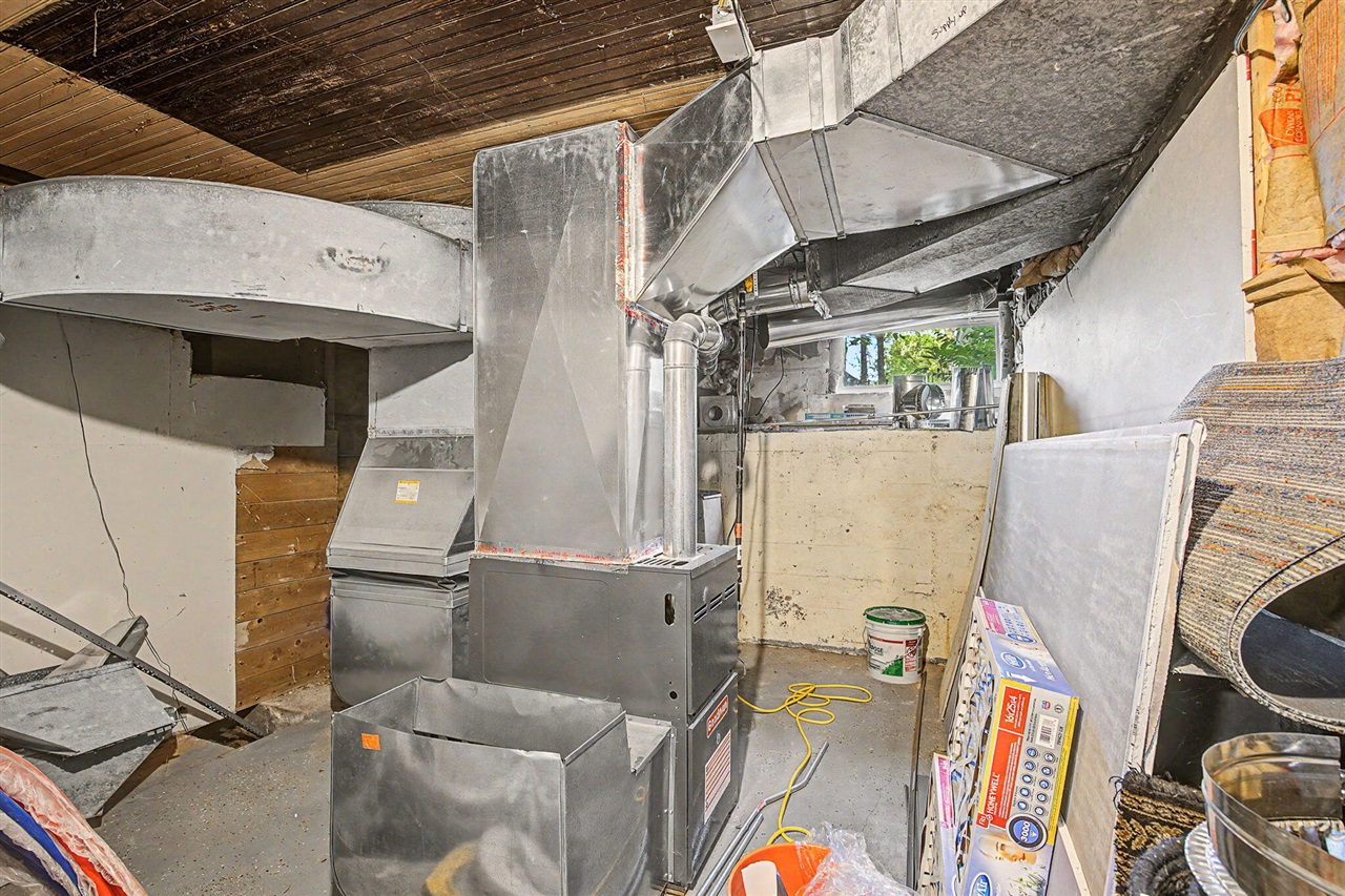 213 Palmer Street Property Photo 50