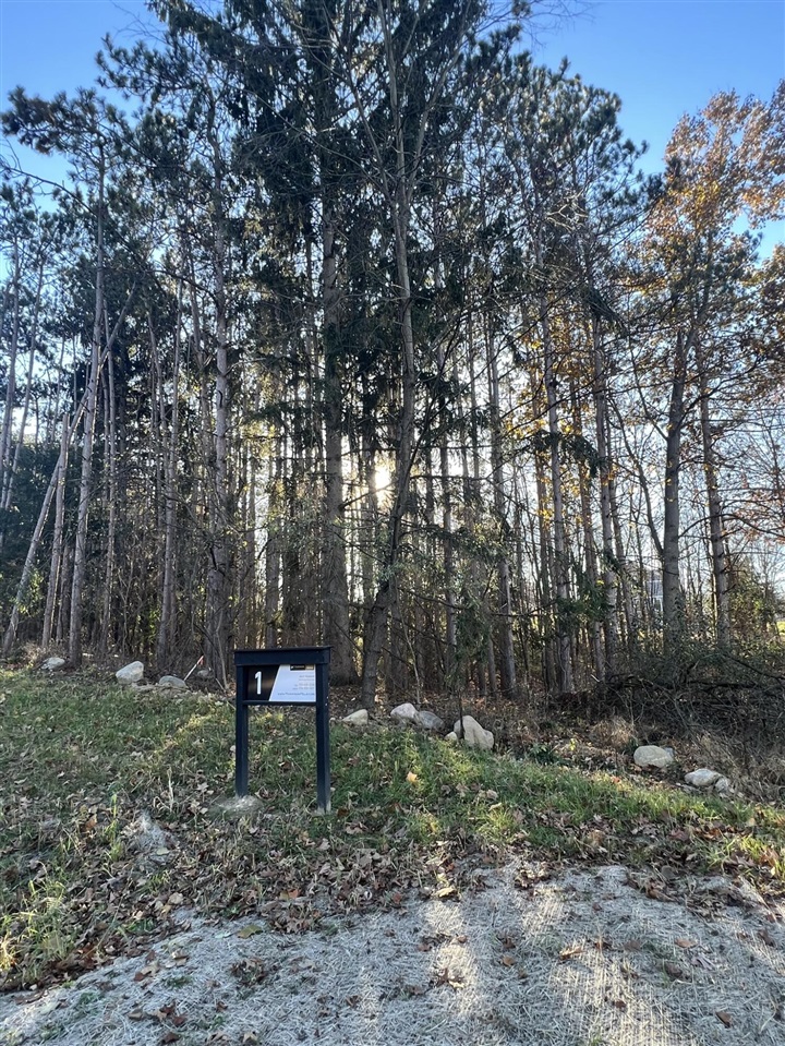 6825 Morrison Hls Court Property Photo 1